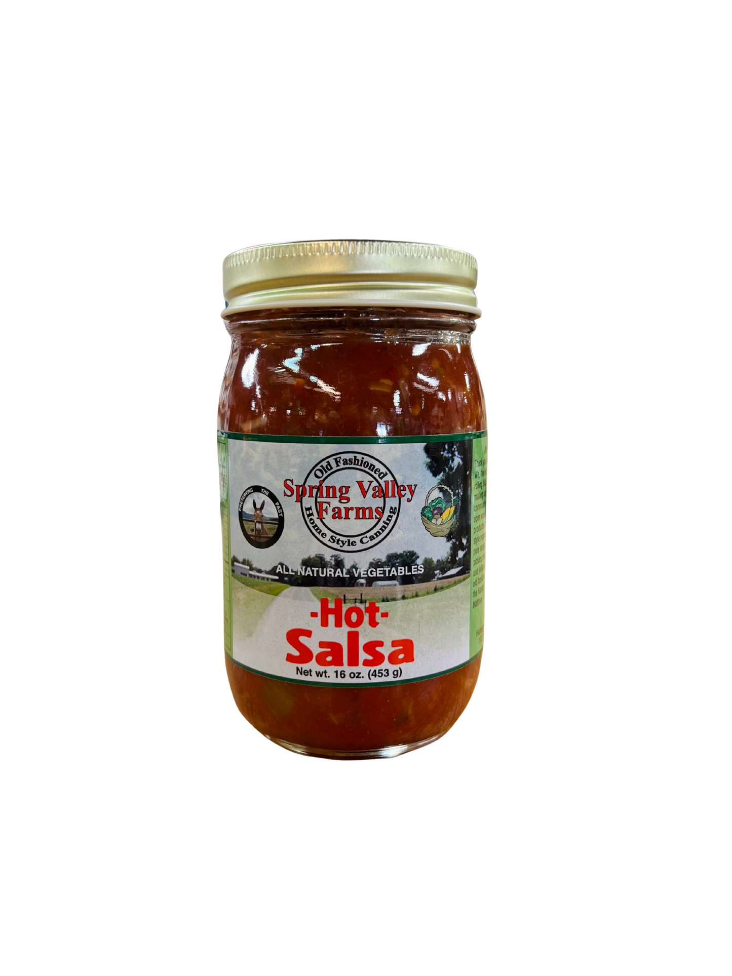 Spring Valley Farms Hot Salsa