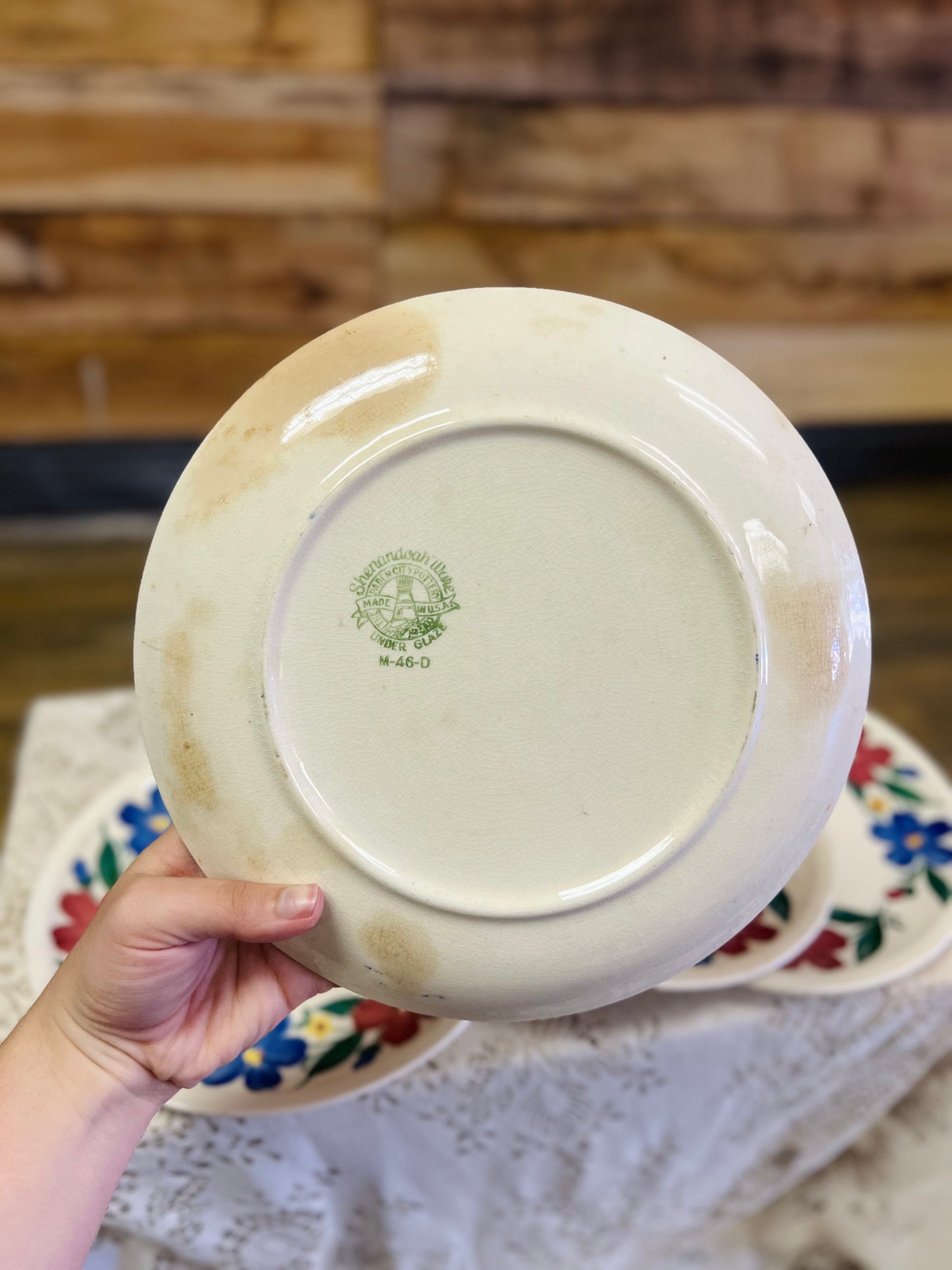 Vintage 1940s Paden City Pottery "Cosmos"Plate Shenandoah Ware SET of 4