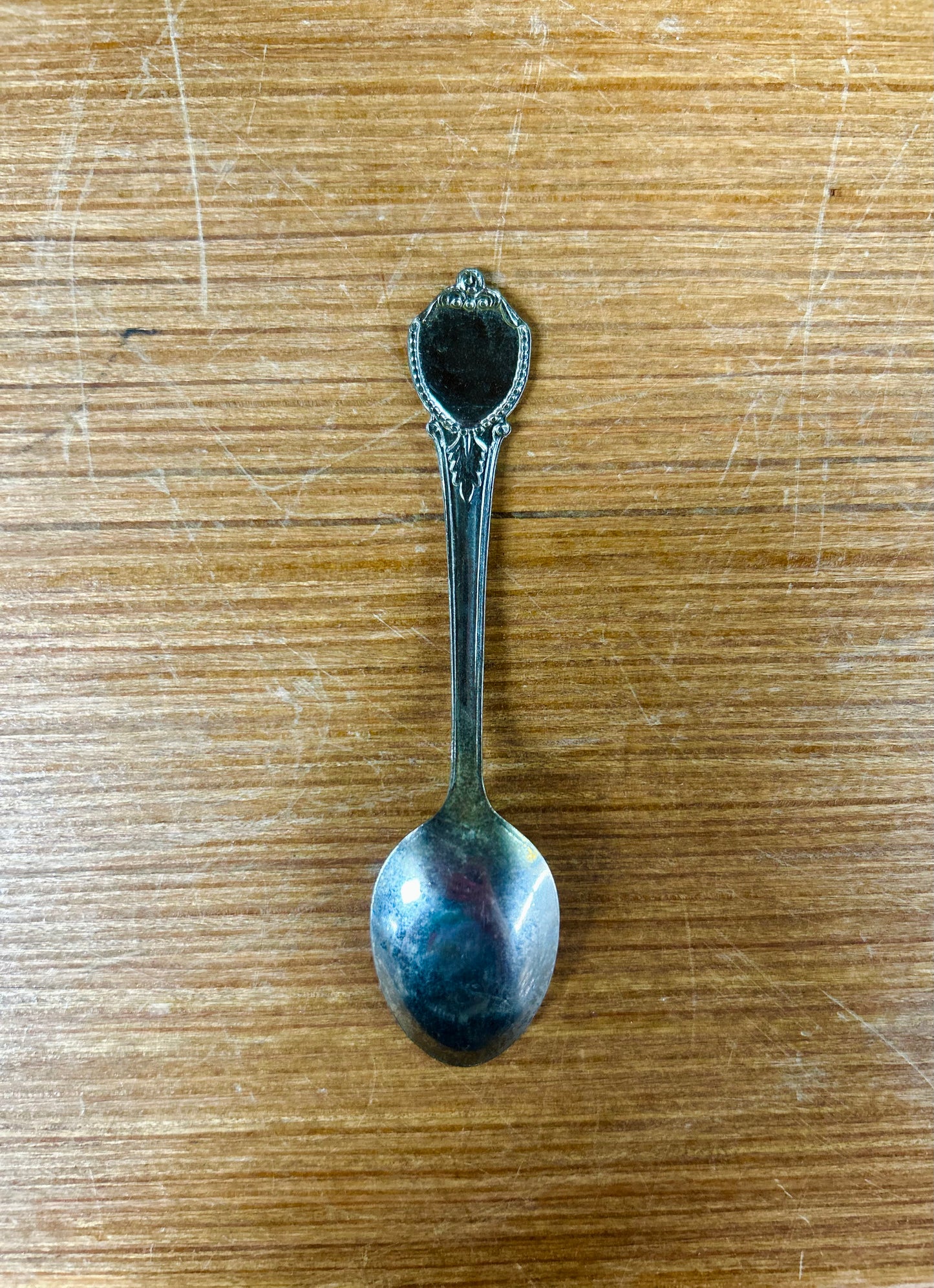 Vintage Collectible Florida Spoon With Bird and Palm Tree Design