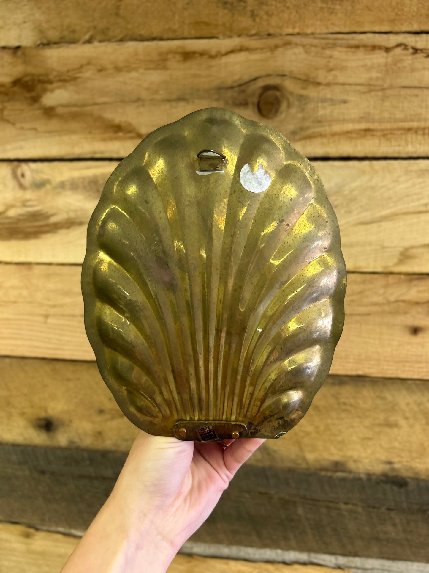 Vintage Brass Shell Wall Sconce