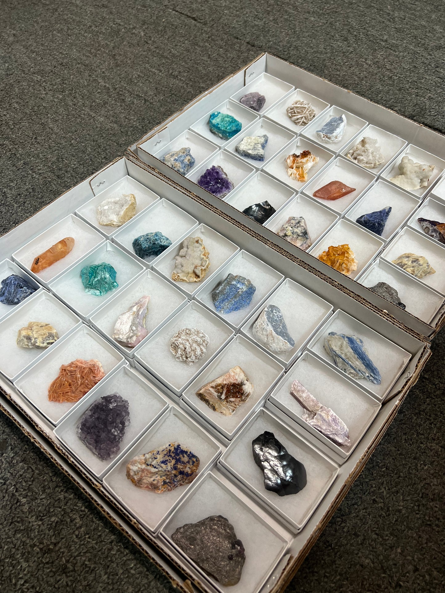 Boxed Mineral/Fossil Size Large