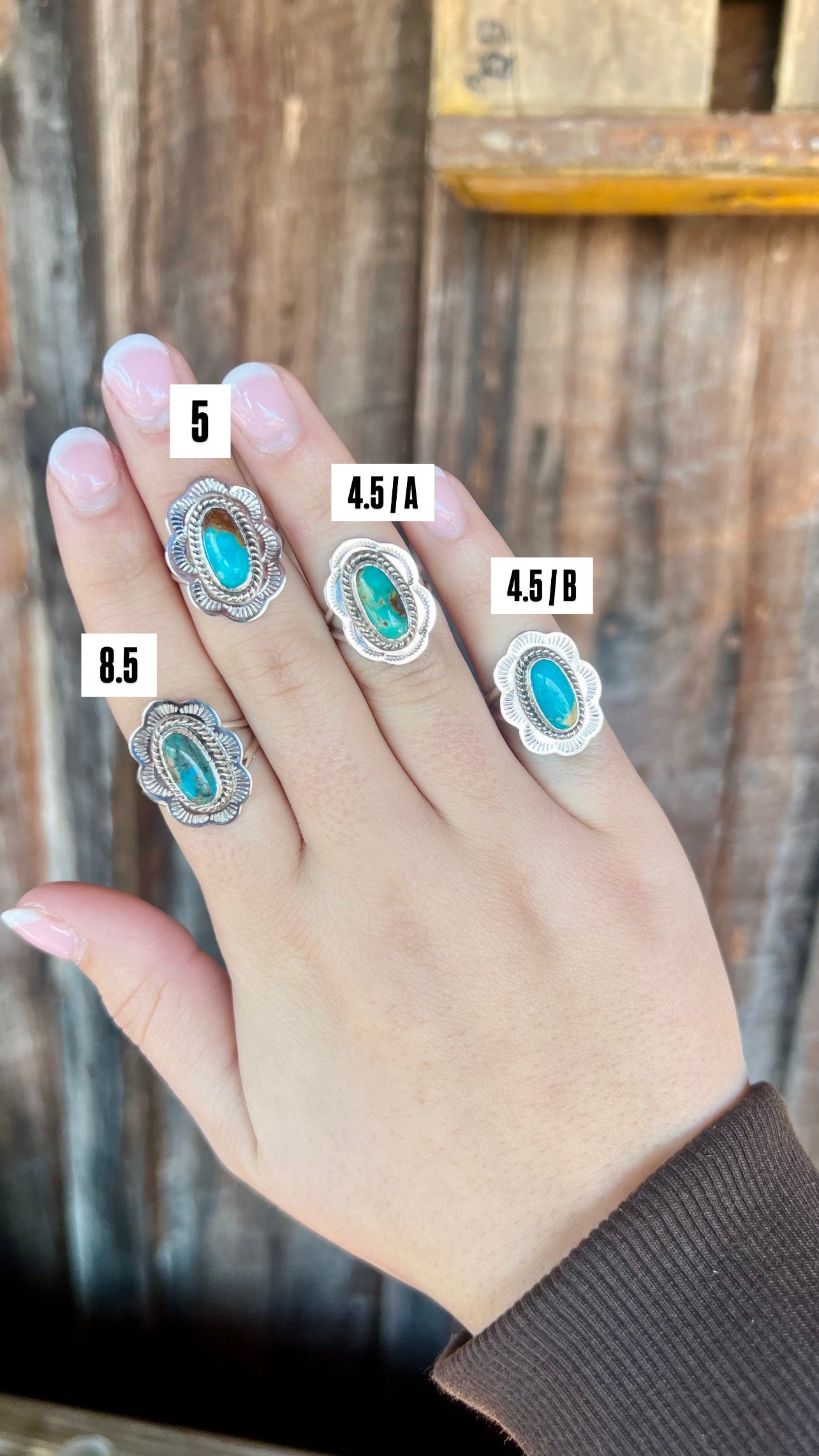 Genuine Kingman Turquoise Scallop Sterling Silver Ring