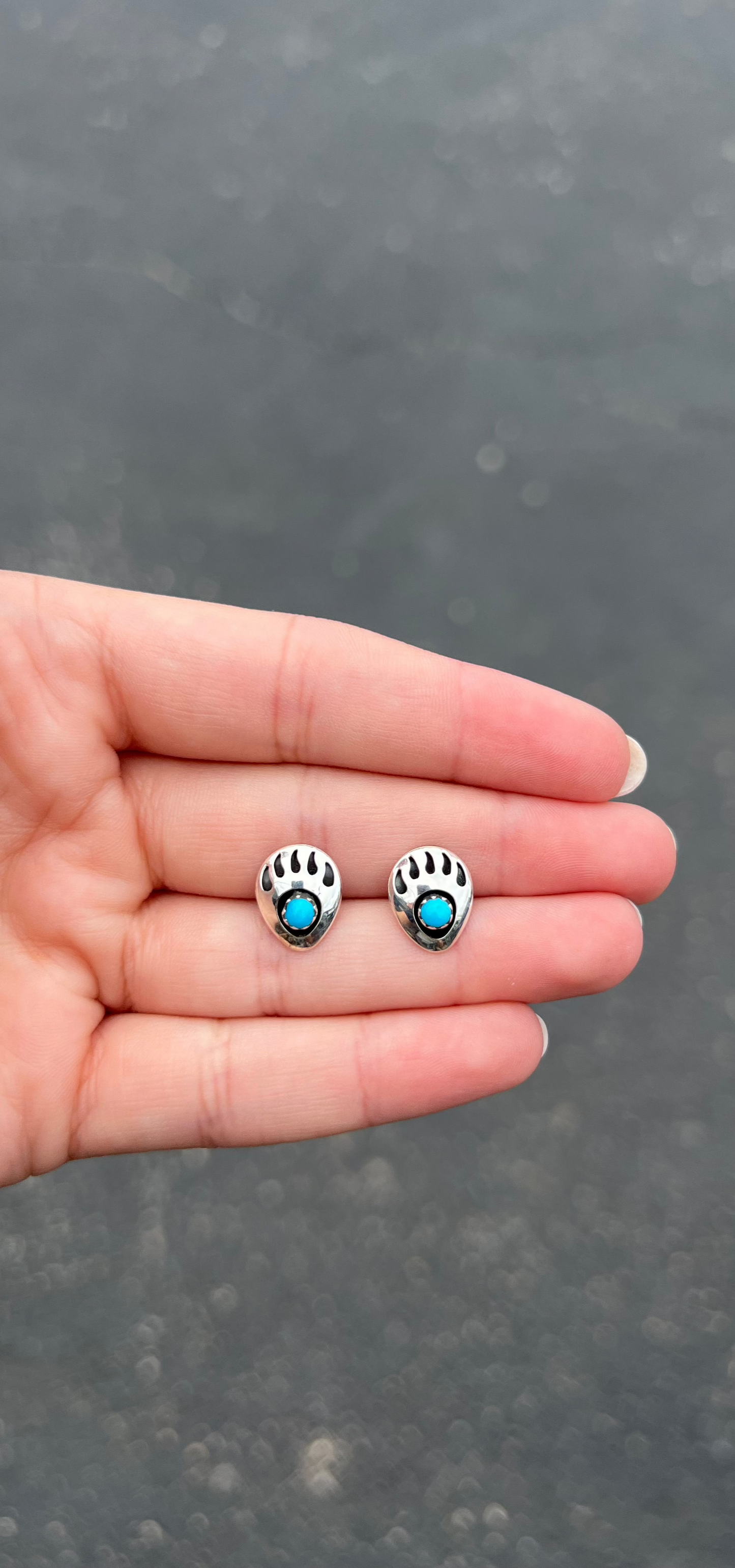 Bear Paw Shadowbox Genuine Turquoise Sterling Silver Studs