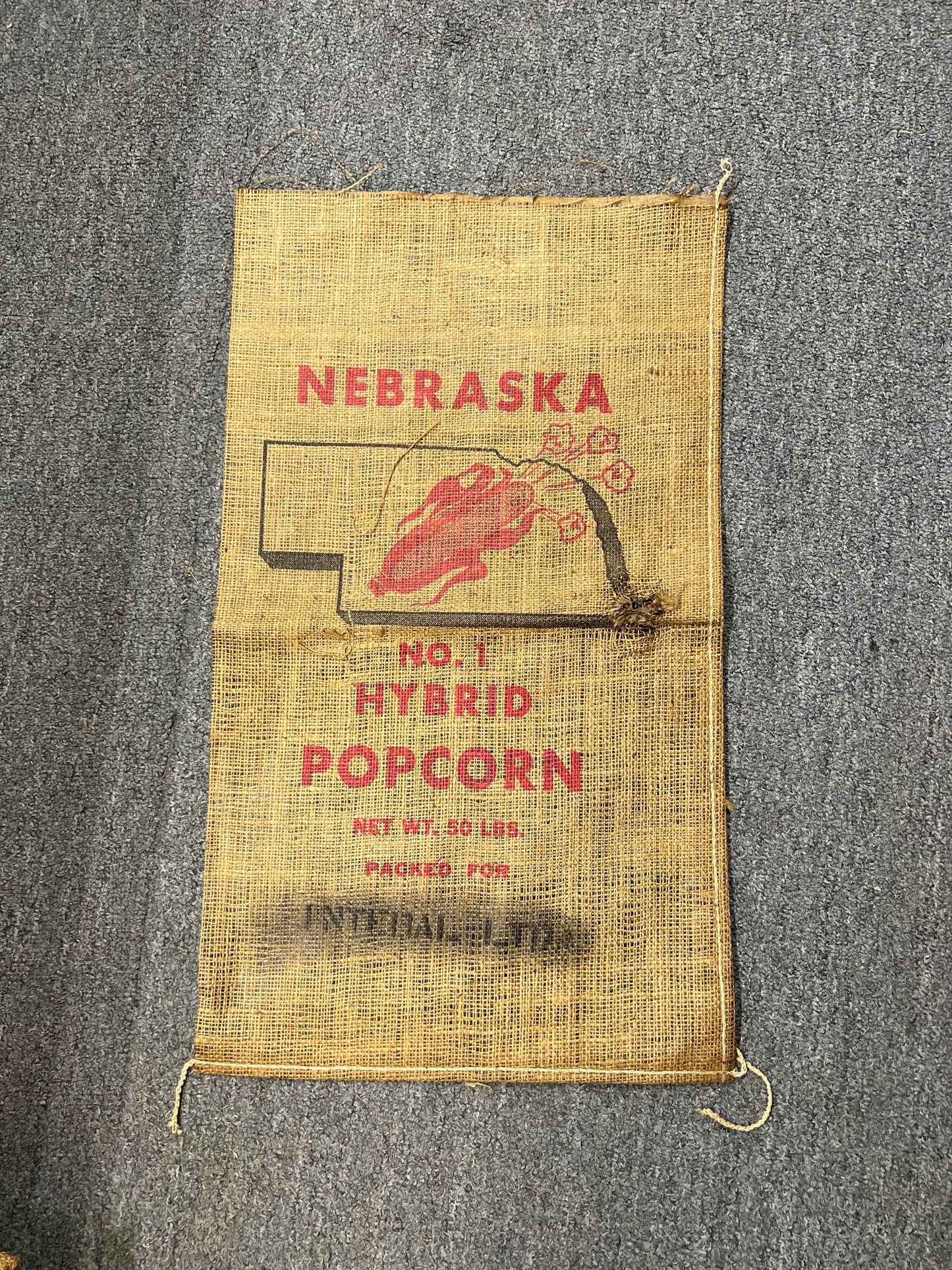 Nebraska No. 1 Hybrid Popcorn Burlap Sack