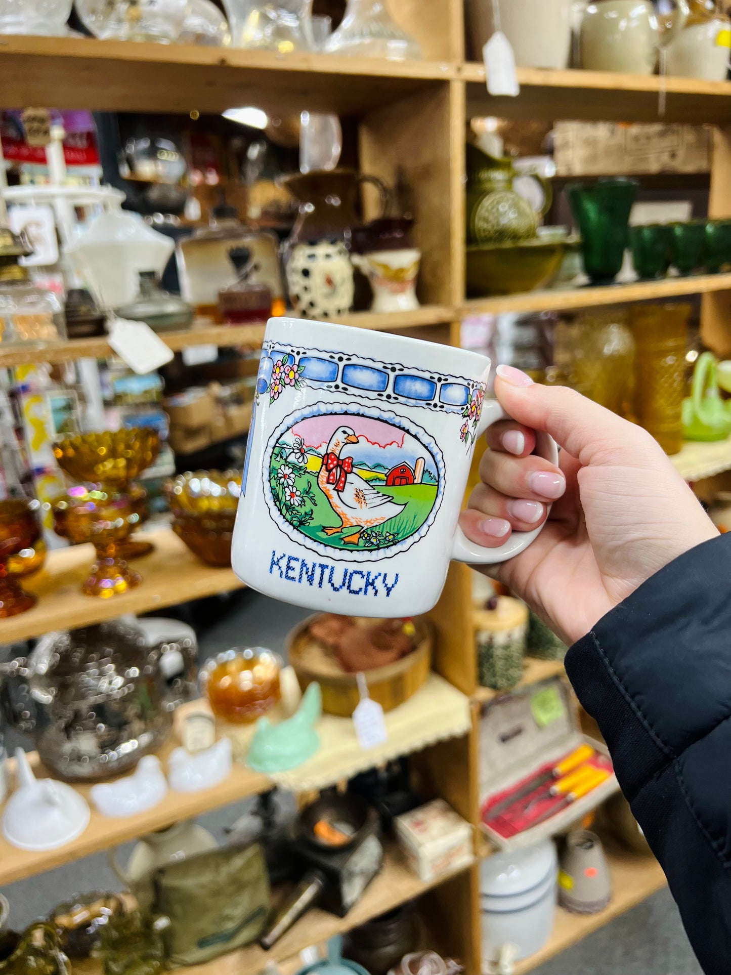 Vintage Kentucky Goose Mug