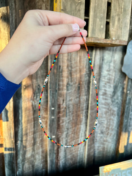 Brown Seed Bead Multicolor Necklace with Silver Melon Beads