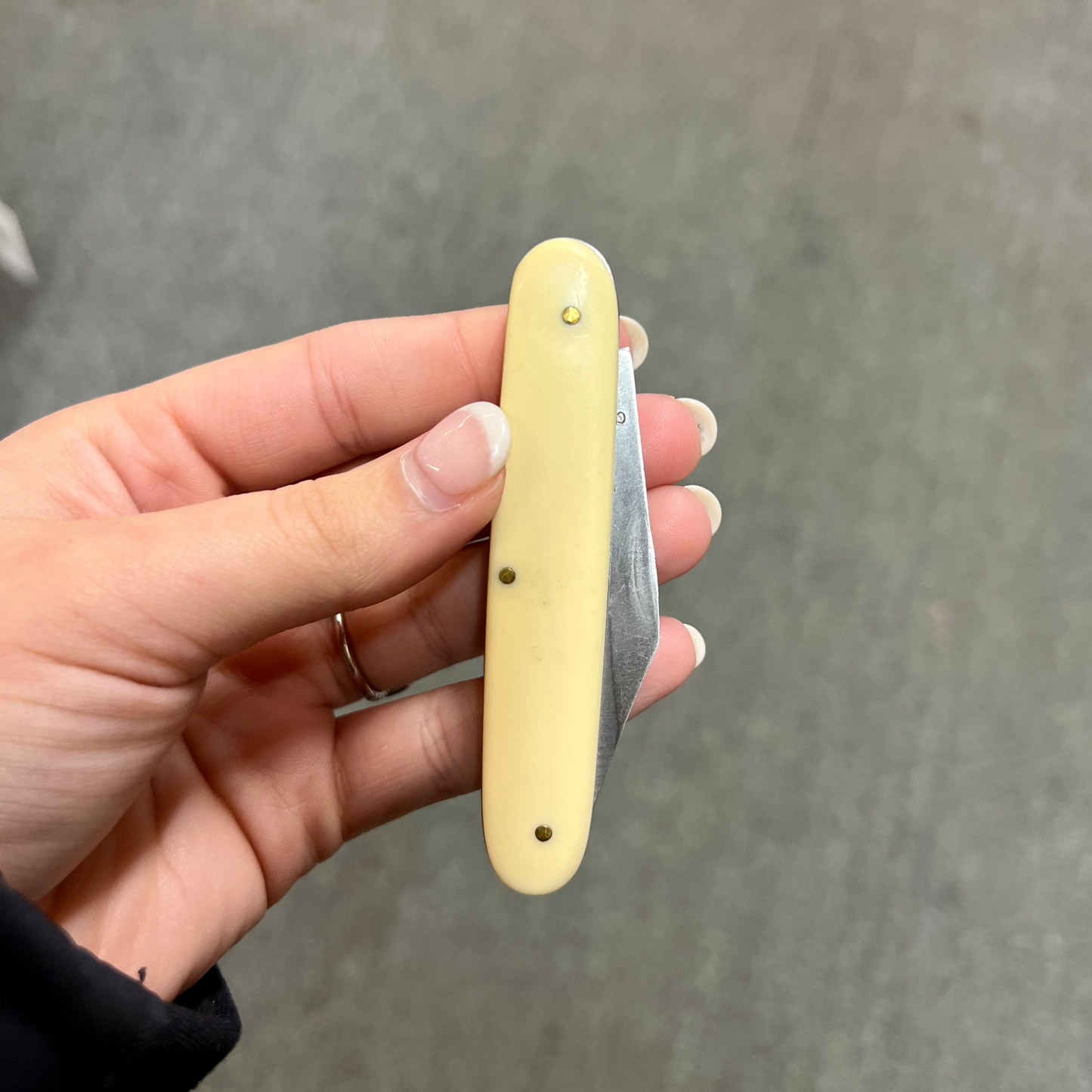 MoonPie American Pie Pocket Knife