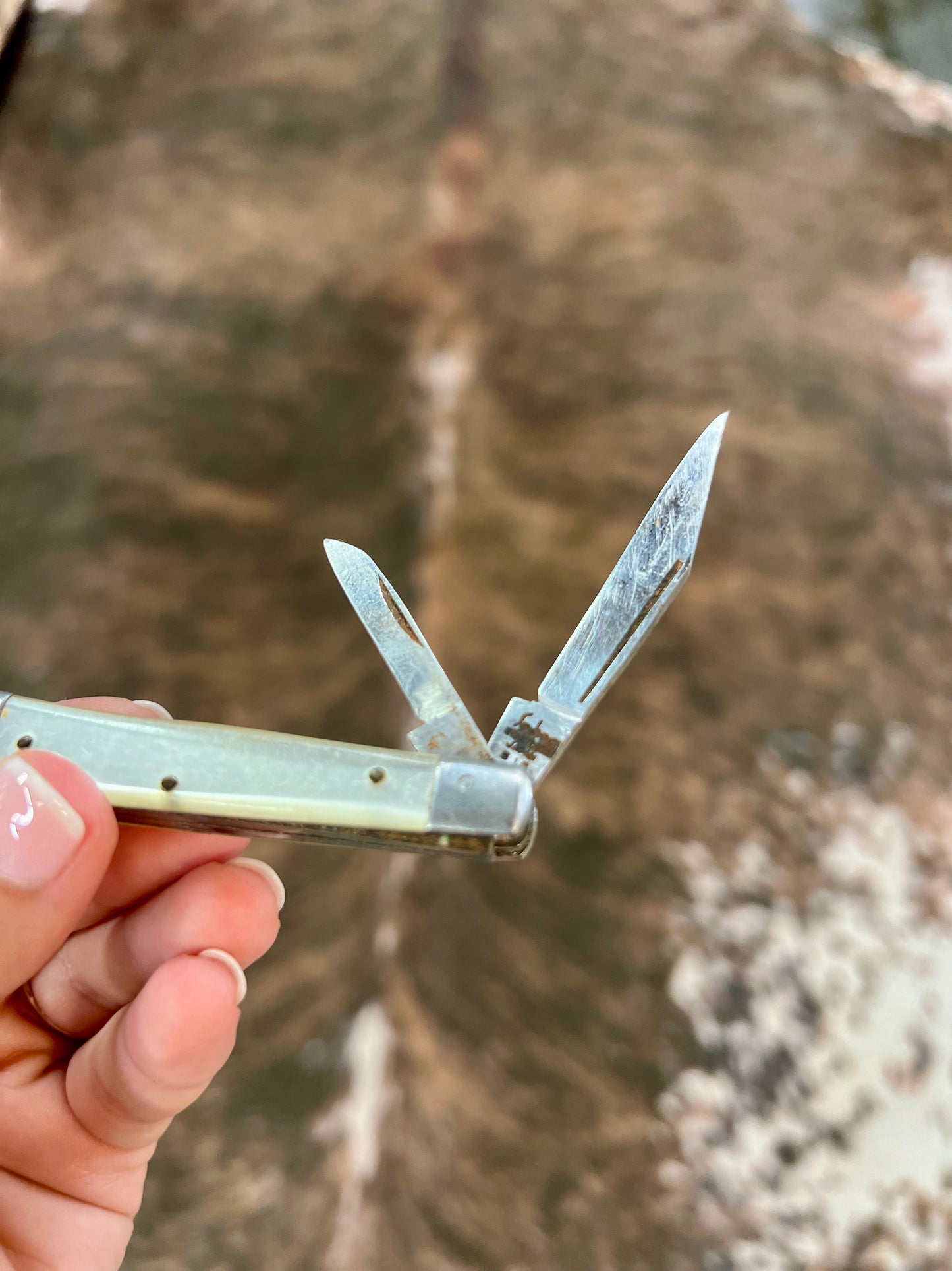 2 Bladed Sabre