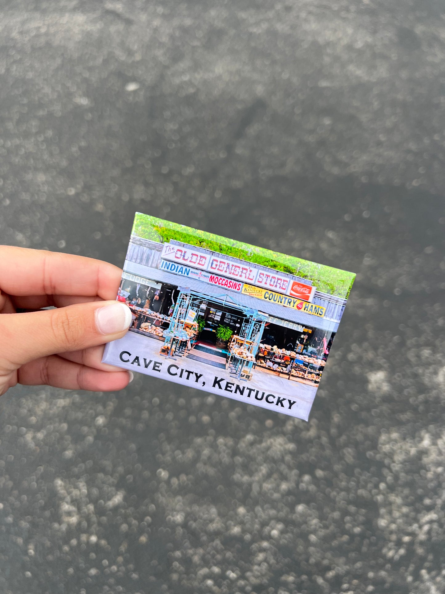 The Olde General Store Metal Magnet (Large)
