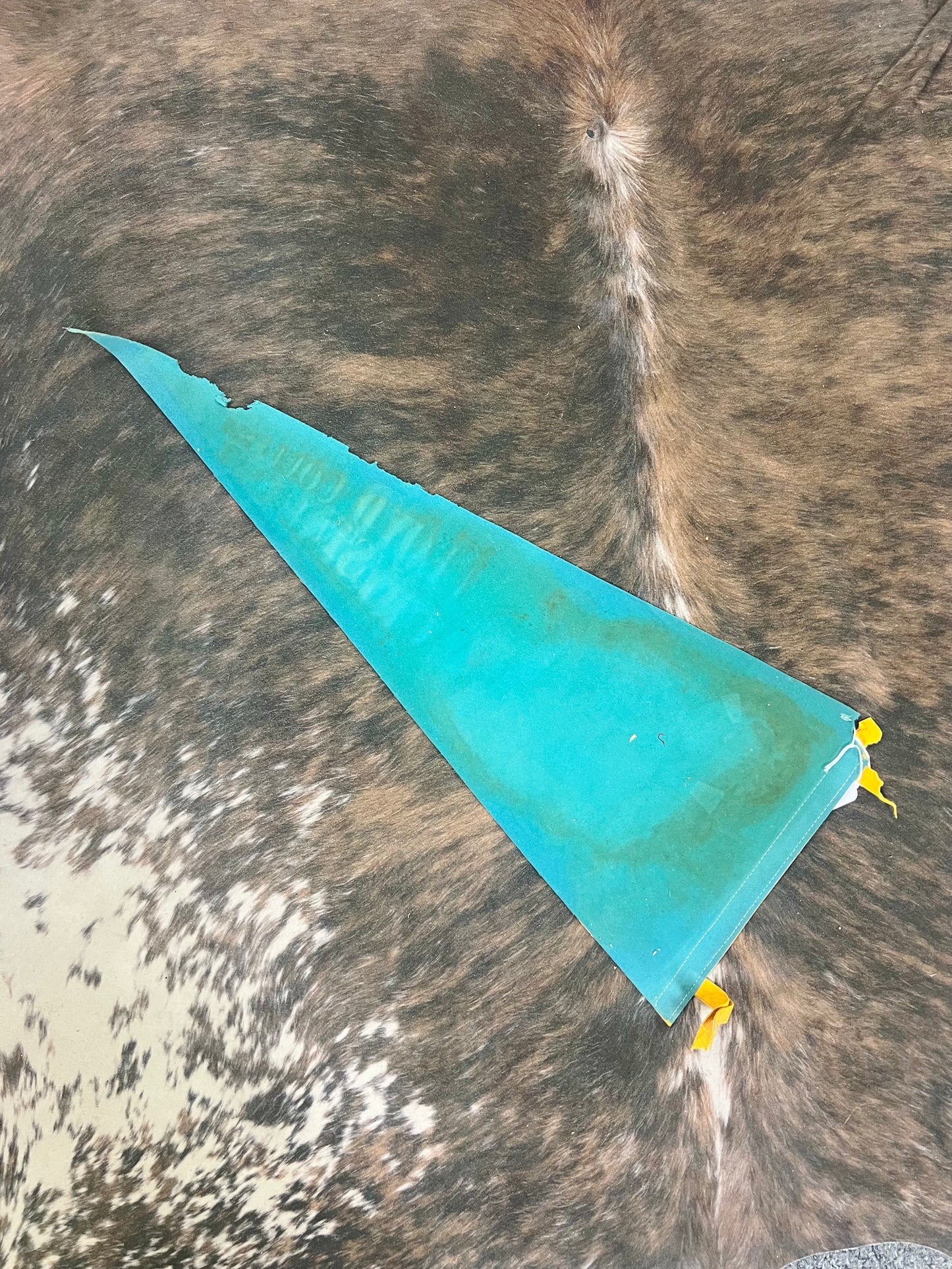 Old Felt Pennant RARE Floyd Collins Crystal Cave (Green)