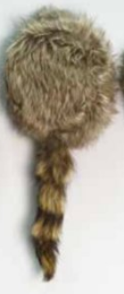 Coonskin Cap