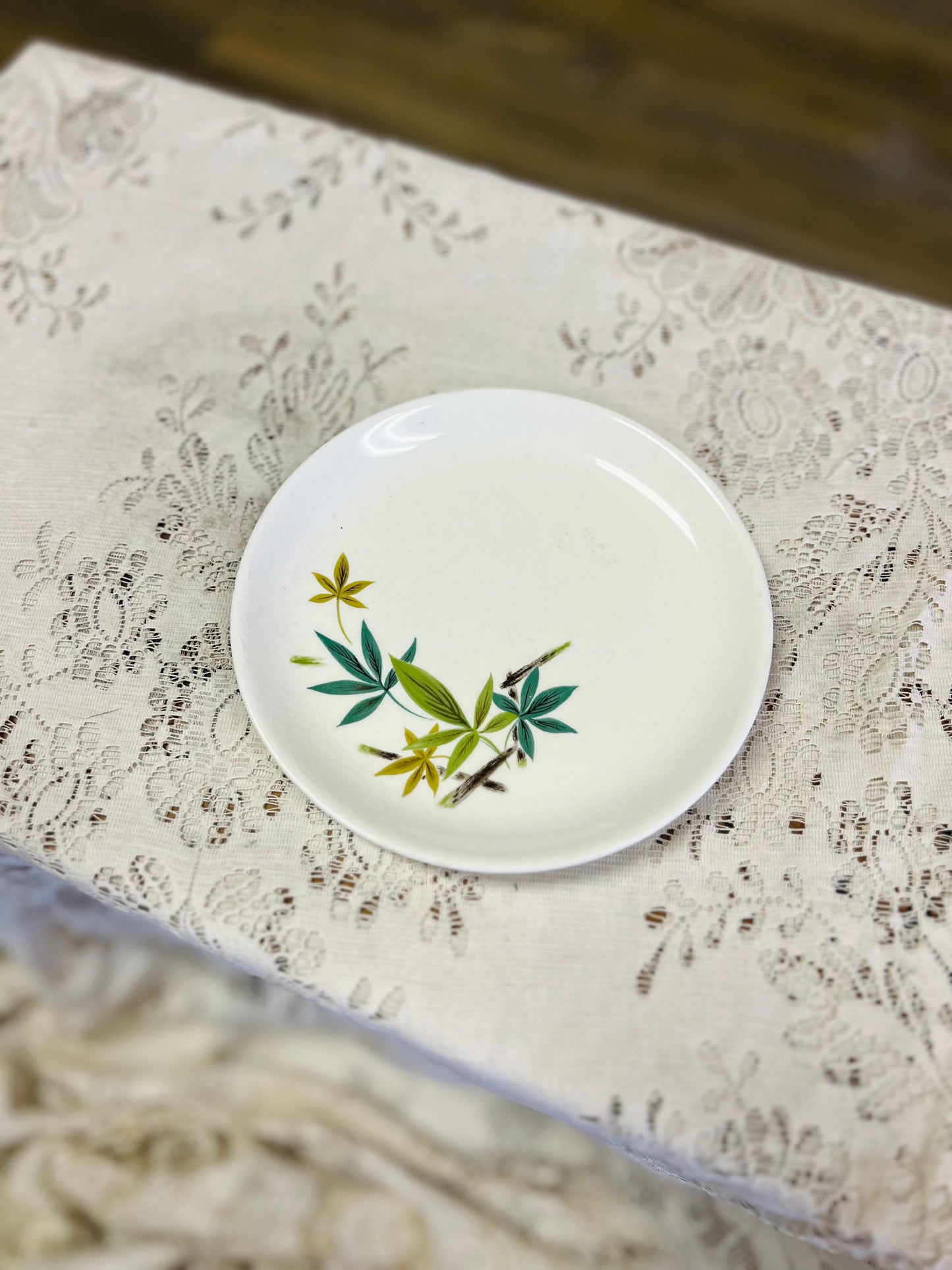 Vintage Salem China Company Plate with Bamboo Design