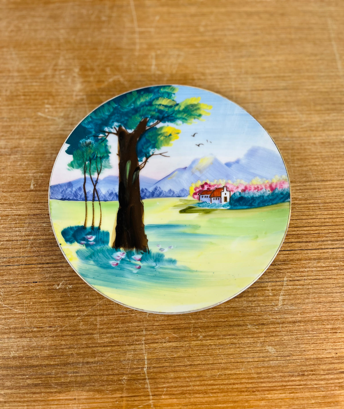 Vintage Hand Painted Plate Made In Japan