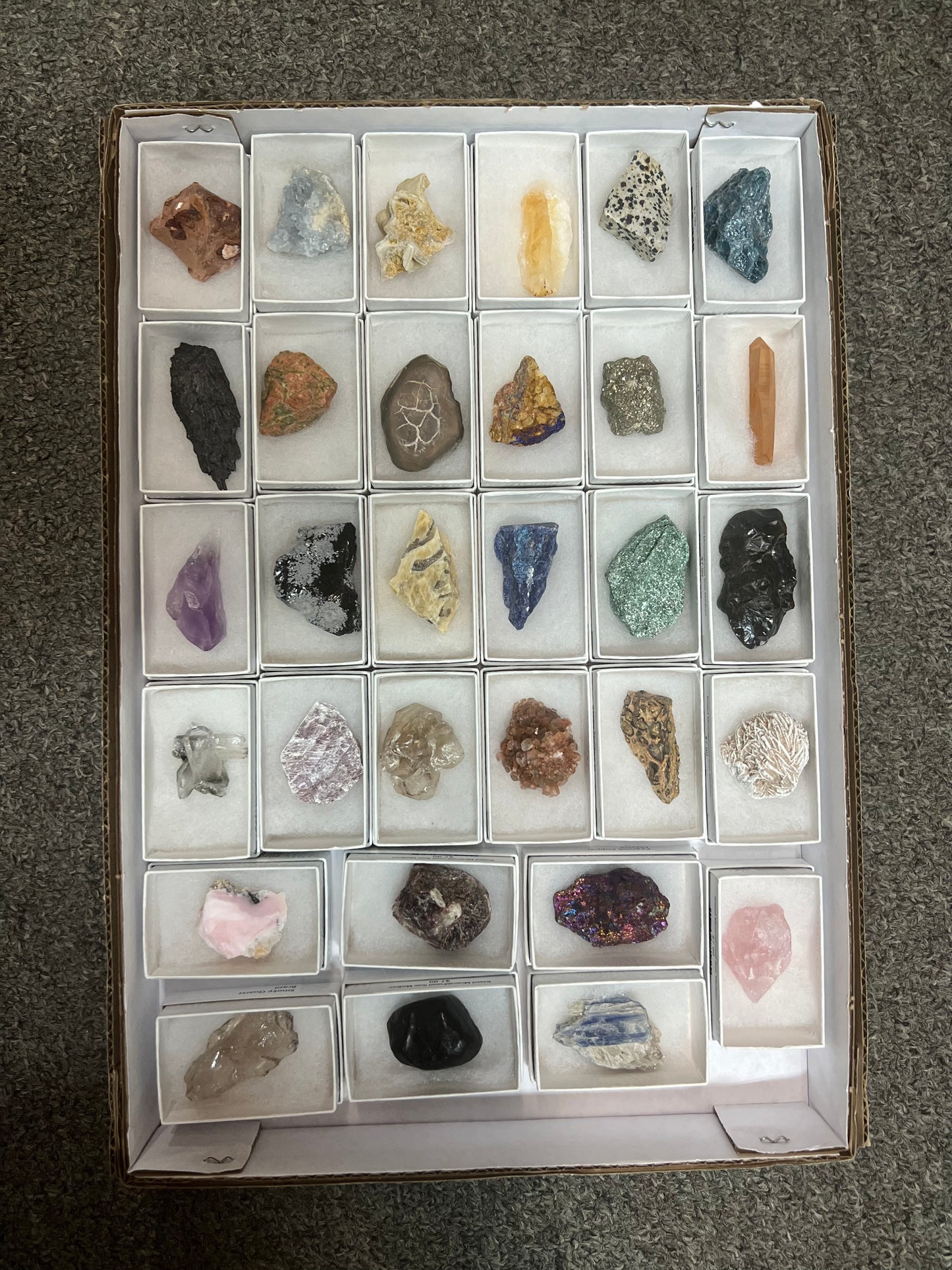 Boxed Mineral/Fossil Size Medium