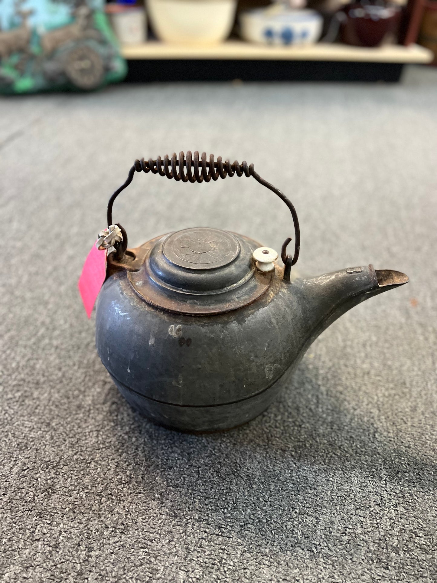Erie Spider and Web Tea Kettle