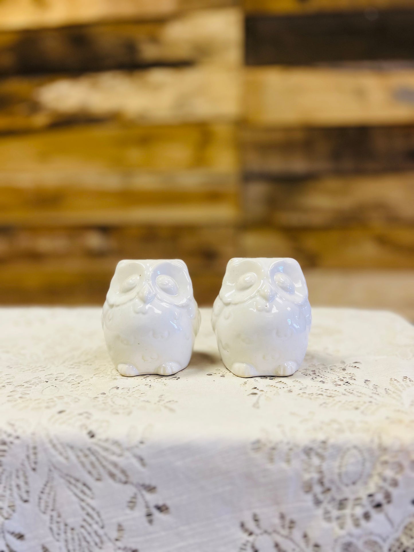 Vintage Ceramic Owl Salt and Pepper Shakers