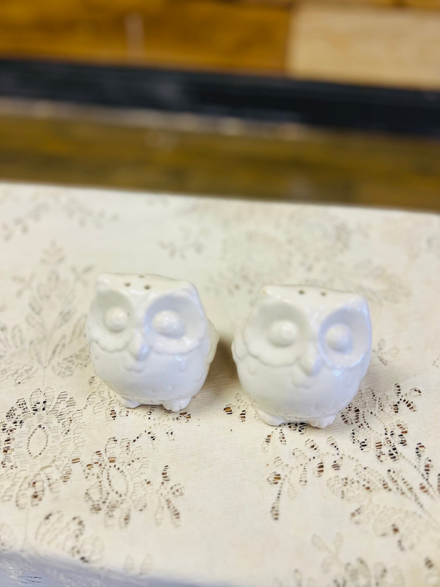 Vintage Ceramic Owl Salt and Pepper Shakers