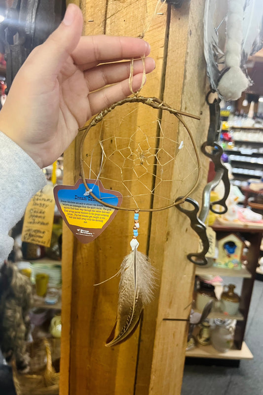 Twigs Dream Catcher