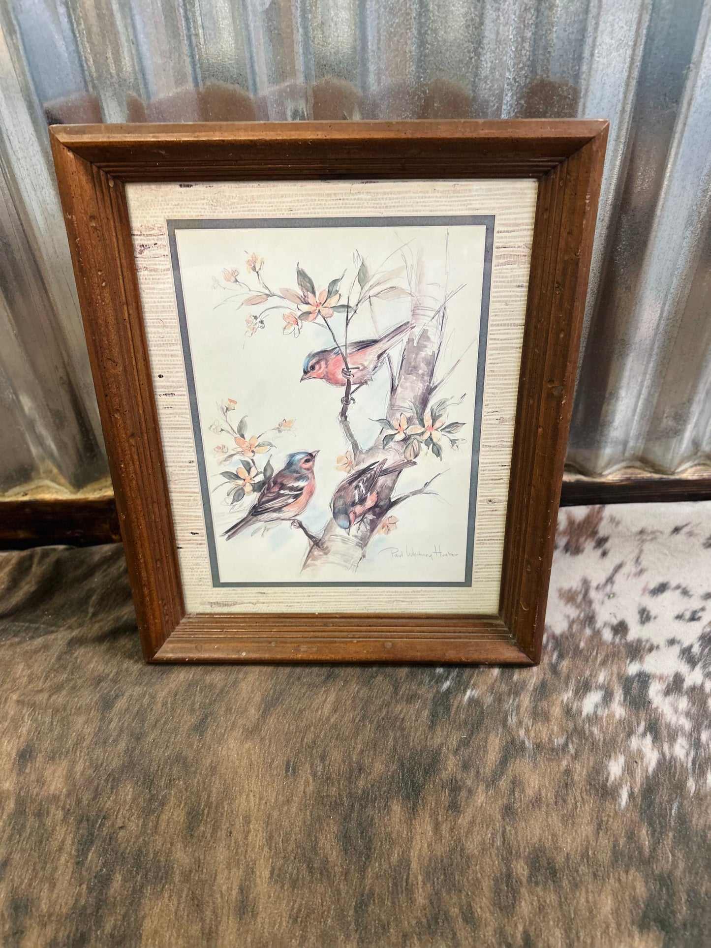 Vintage Bird Paul Whitney Hunter Framed Picture