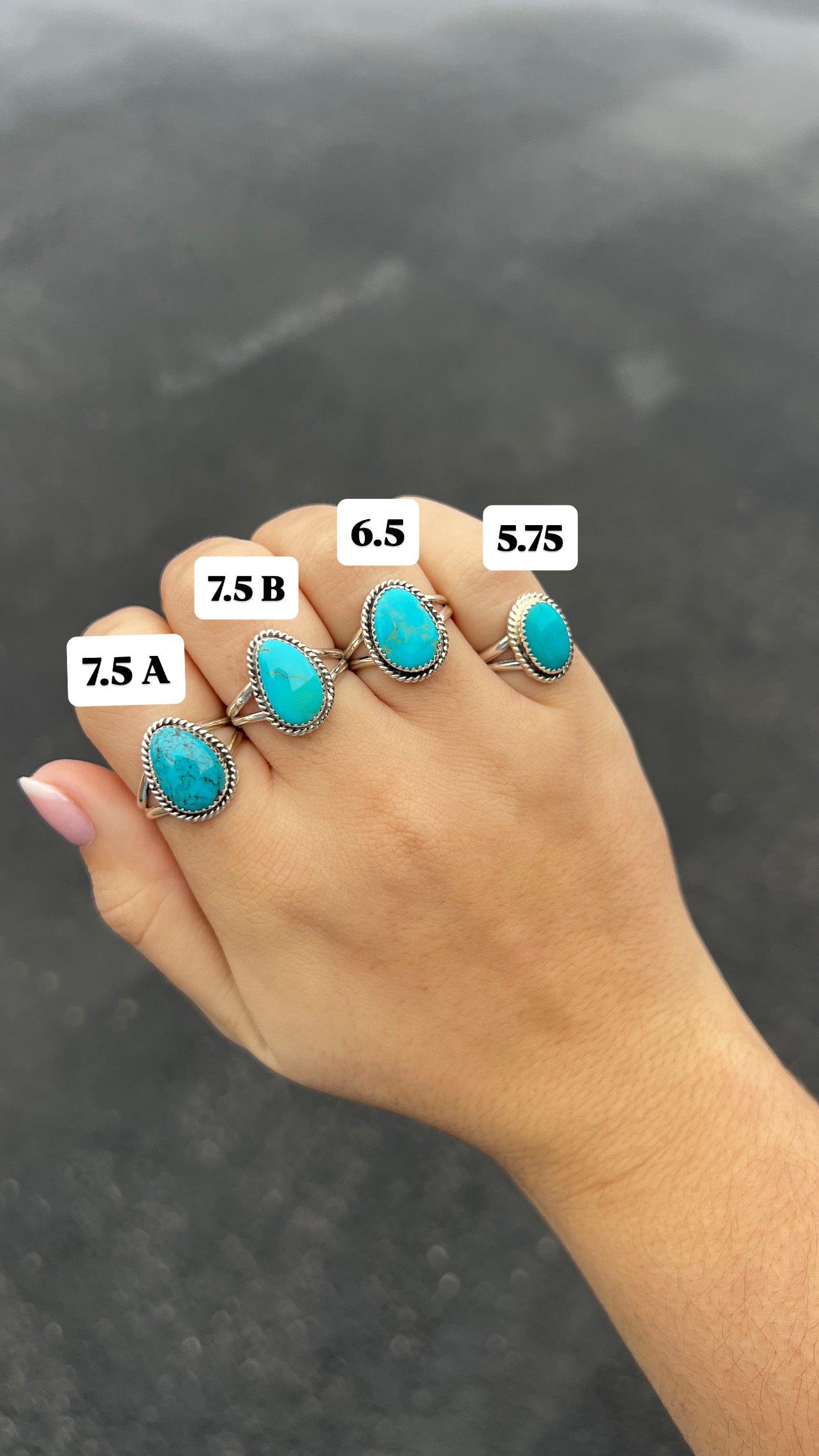 Kingman Turquoise Twisted Border Sterling Silver Ring