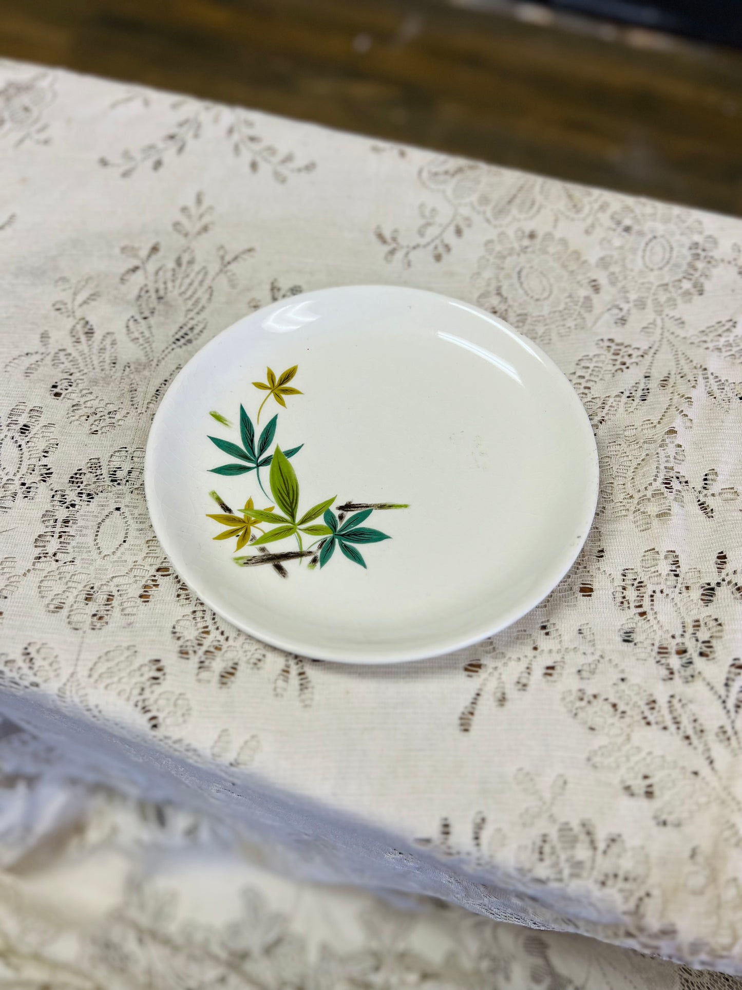 Vintage Salem China Company Plate with Bamboo Design