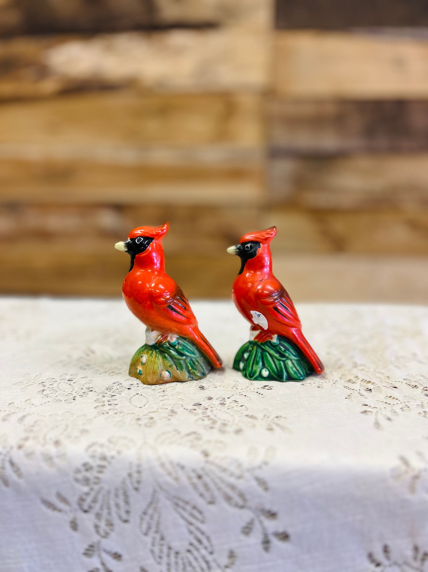 Vintage Ceramic Cardinal Salt and Pepper Shakers Perched on Green Base