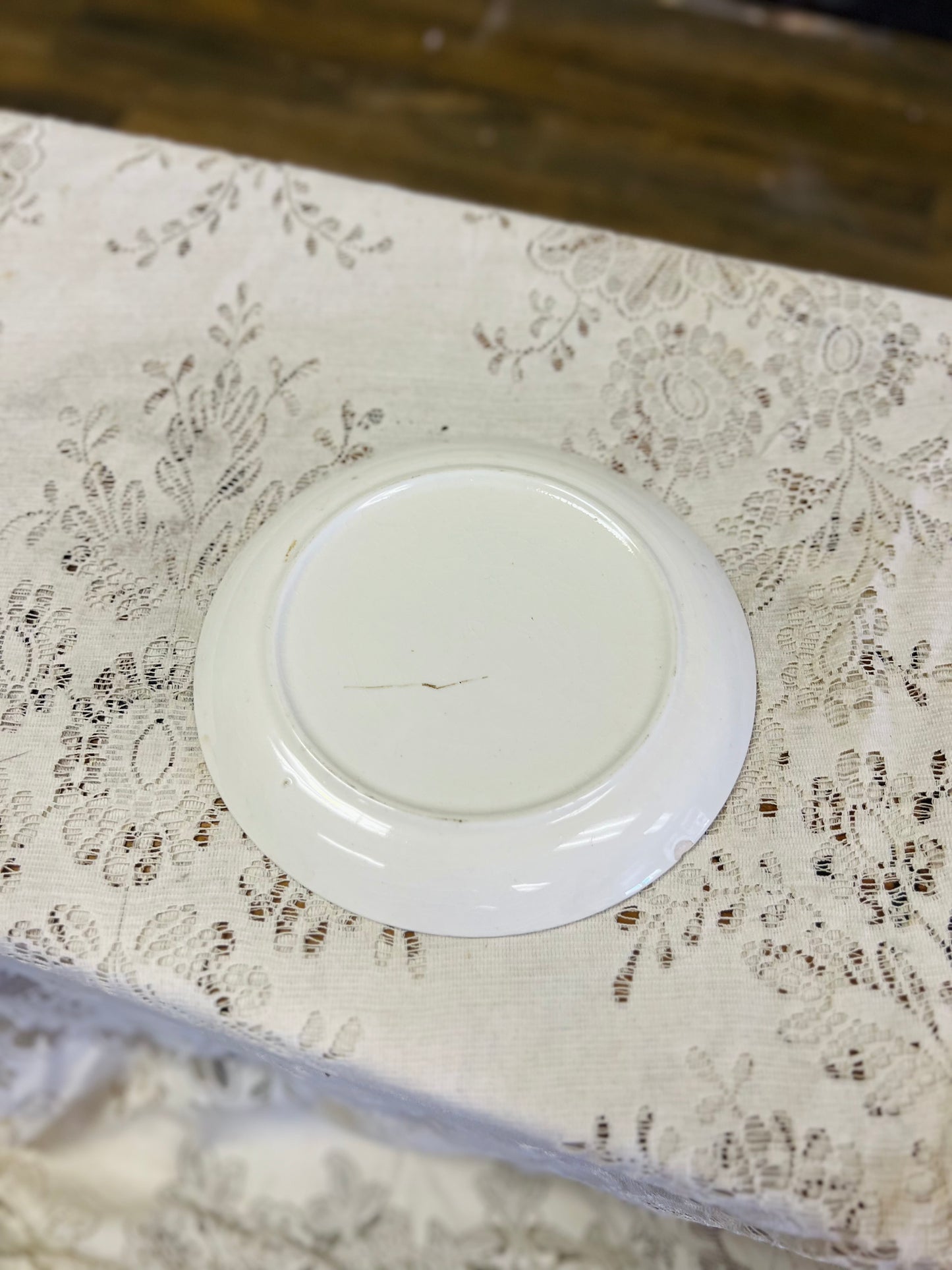 Vintage Salem China Company Plate with Bamboo Design