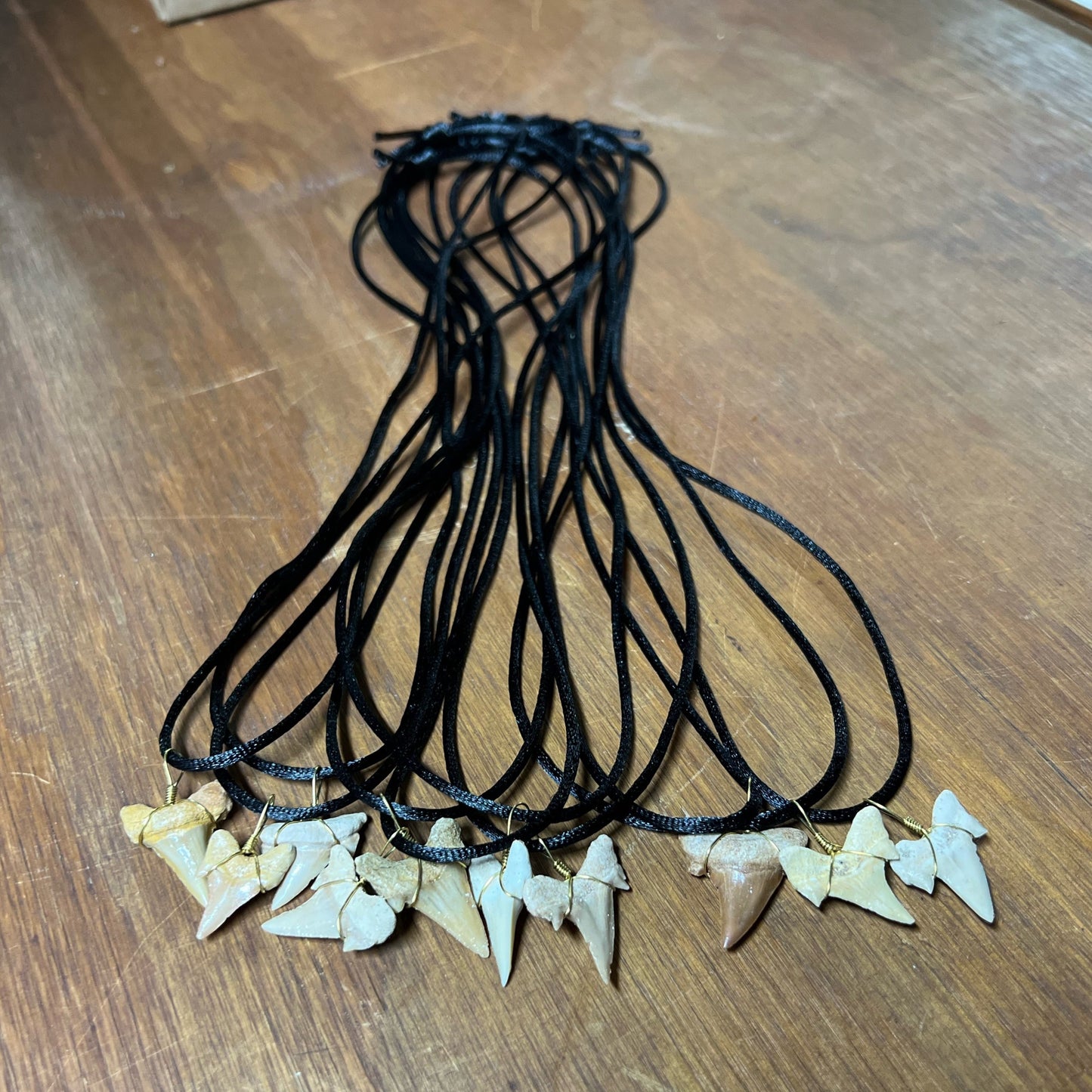 Shark Tooth Cord Necklace