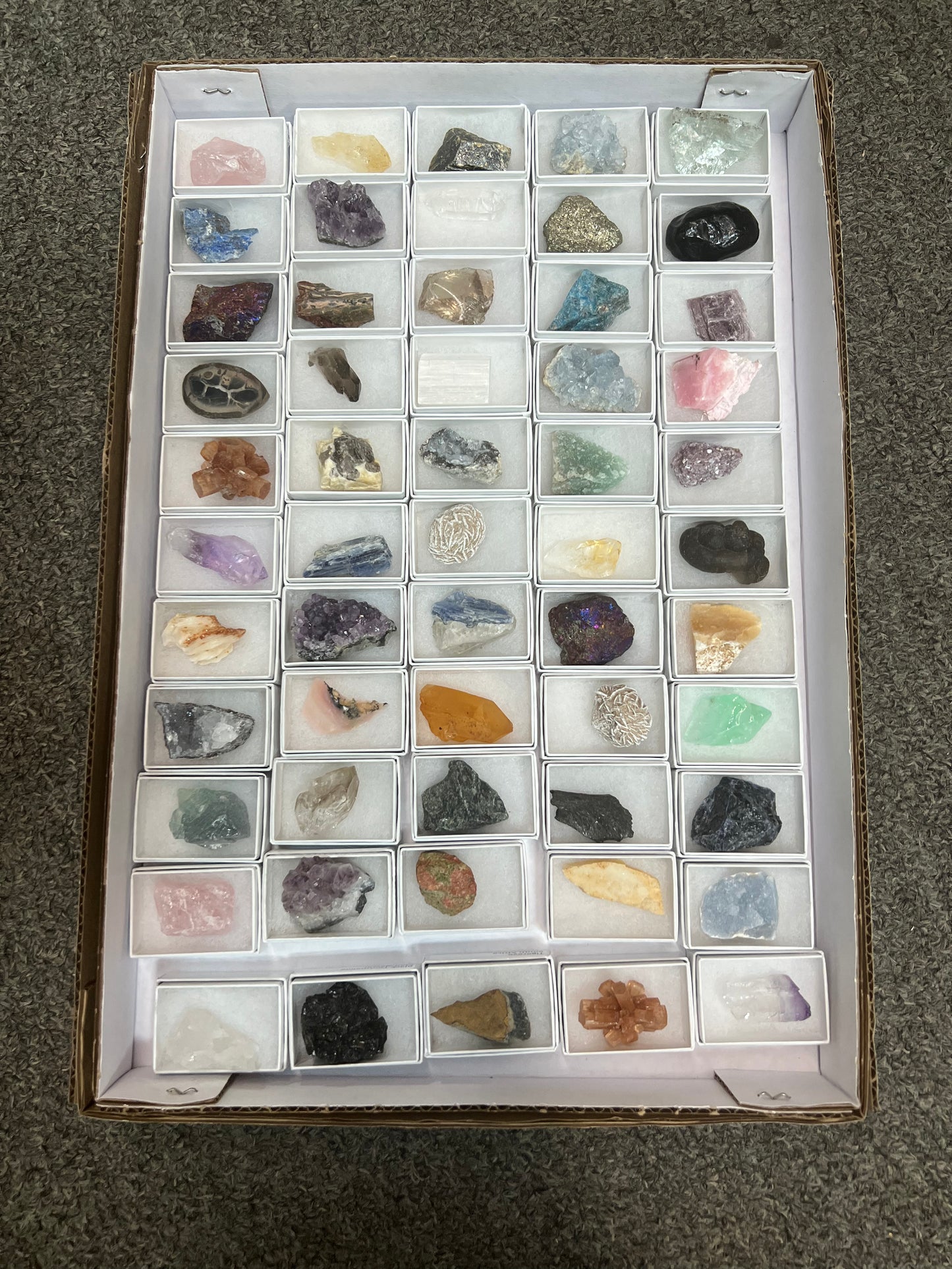 Boxed Mineral/Fossil Size Small