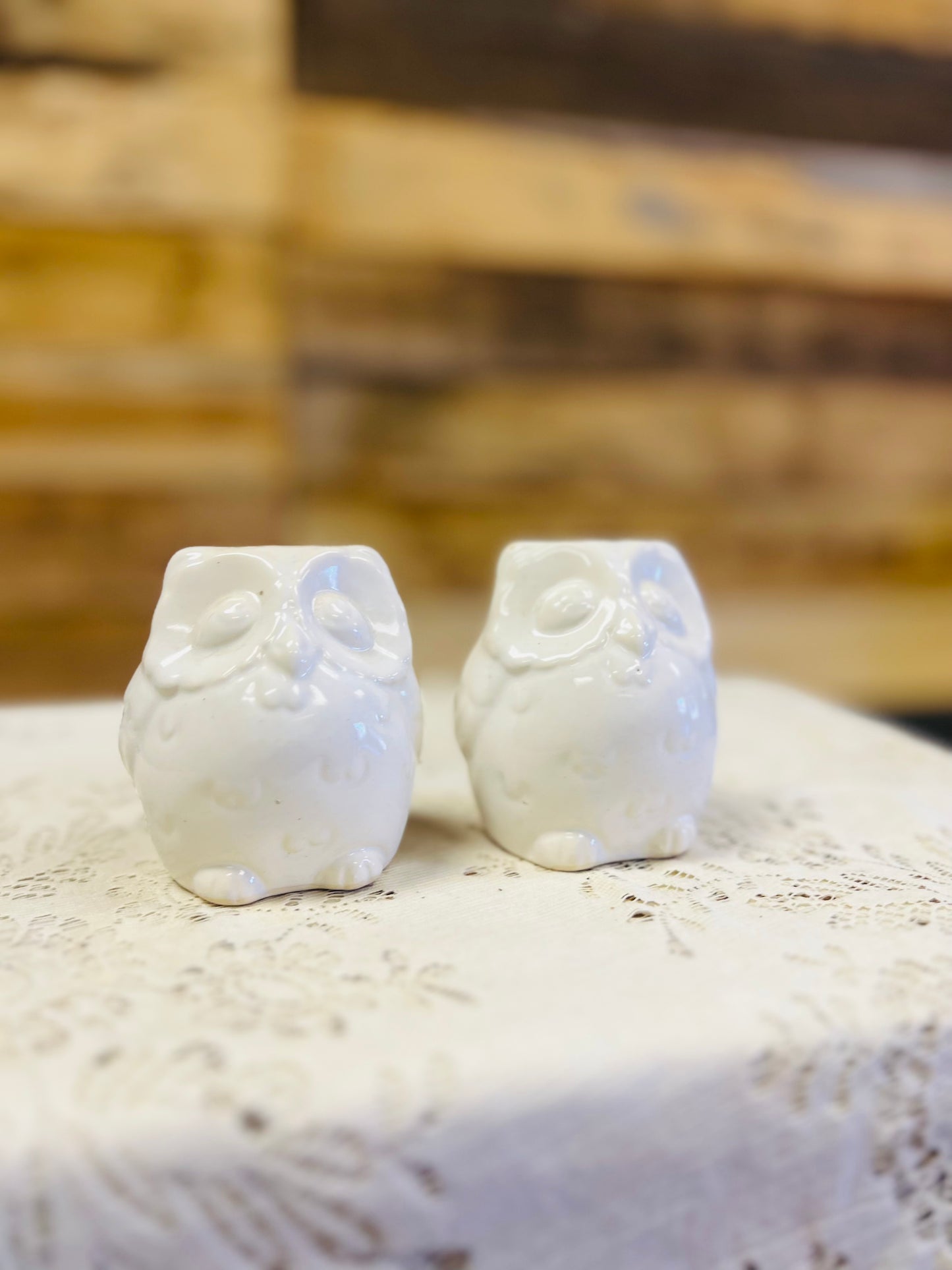 Vintage Ceramic Owl Salt and Pepper Shakers