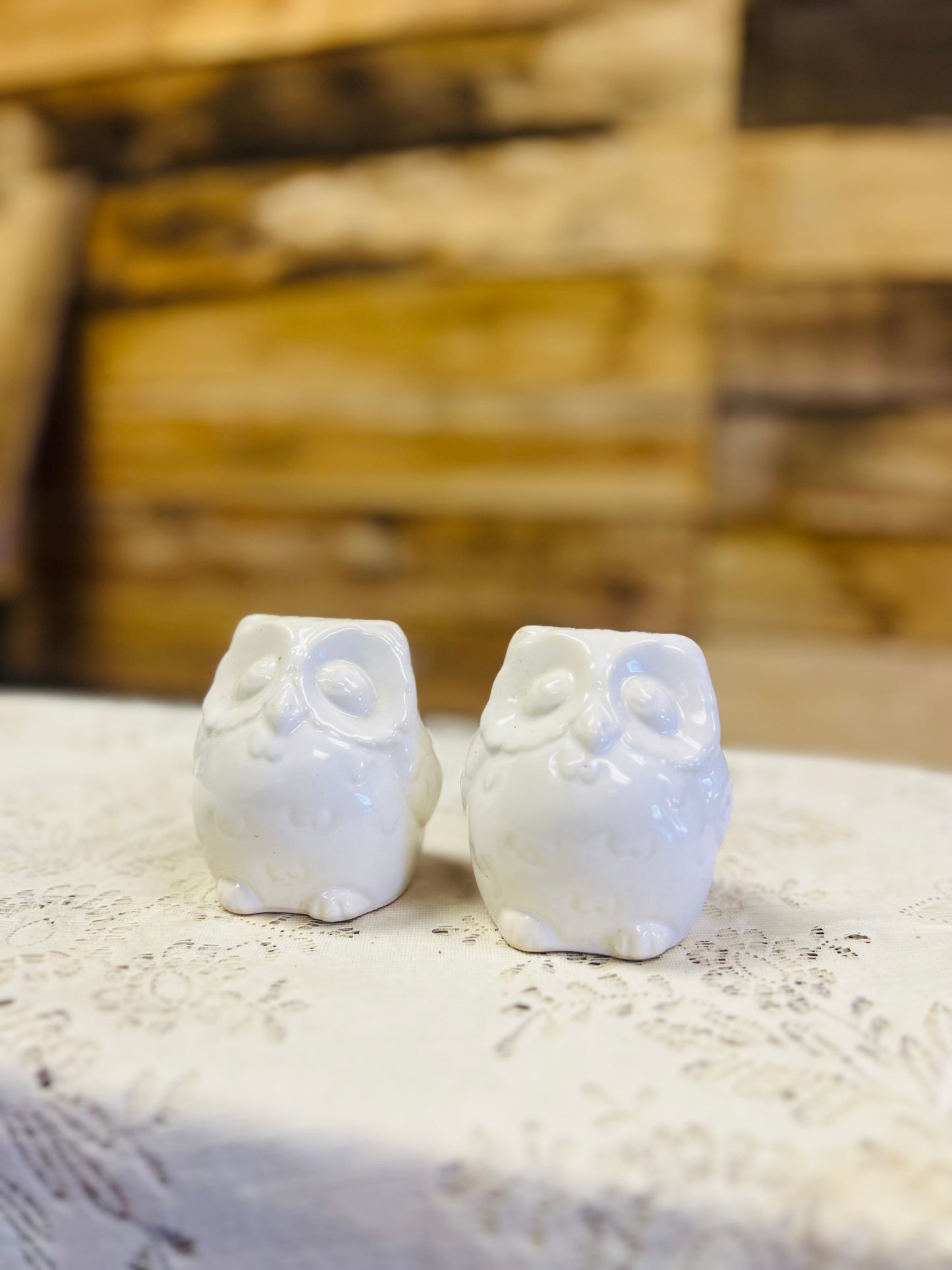 Vintage Ceramic Owl Salt and Pepper Shakers