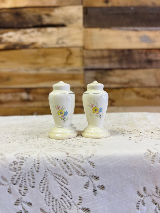 Vintage Homer Laughlin Porcelain Salt And Pepper Shakers with Blossom Design