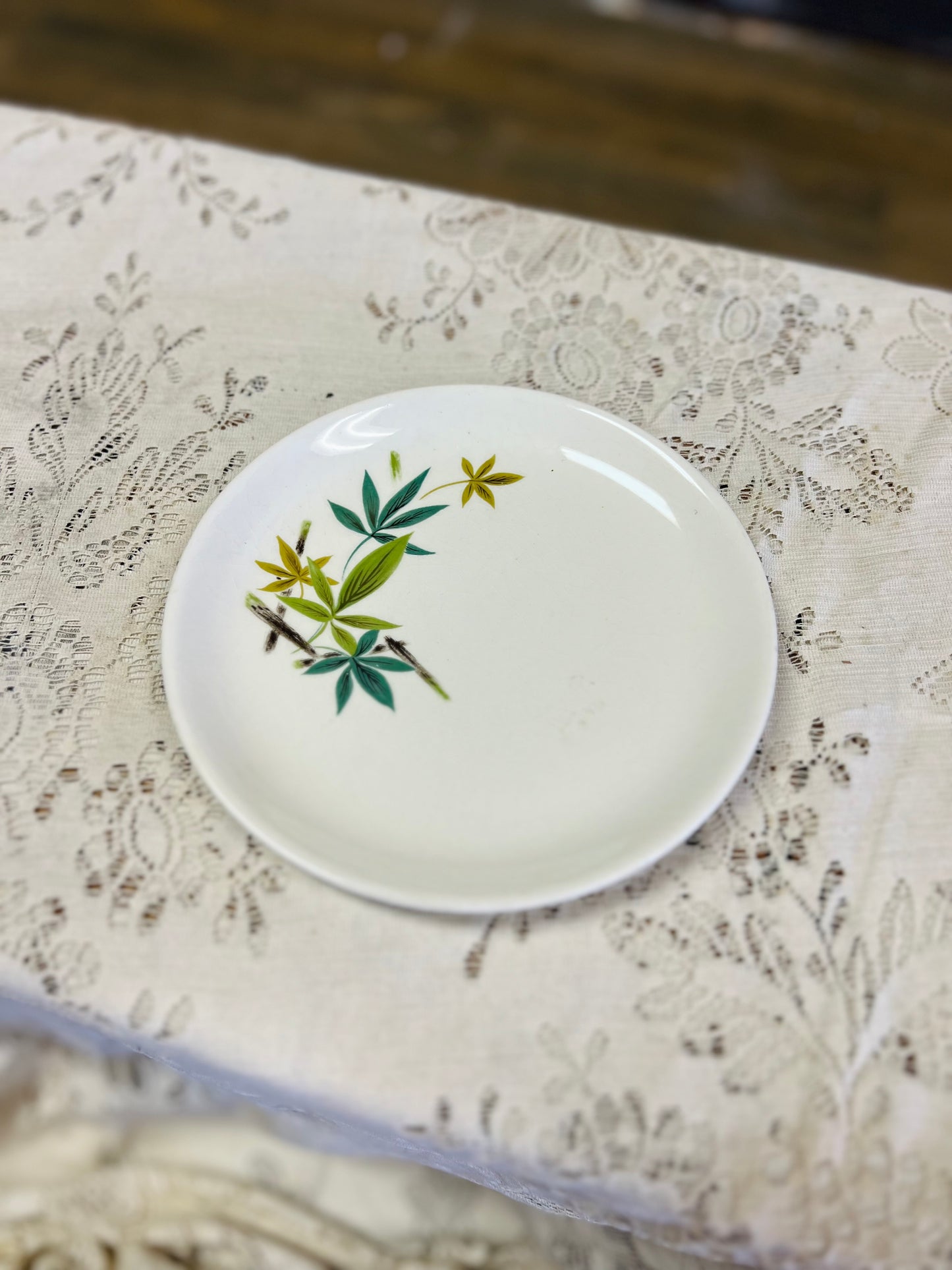 Vintage Salem China Company Plate with Bamboo Design