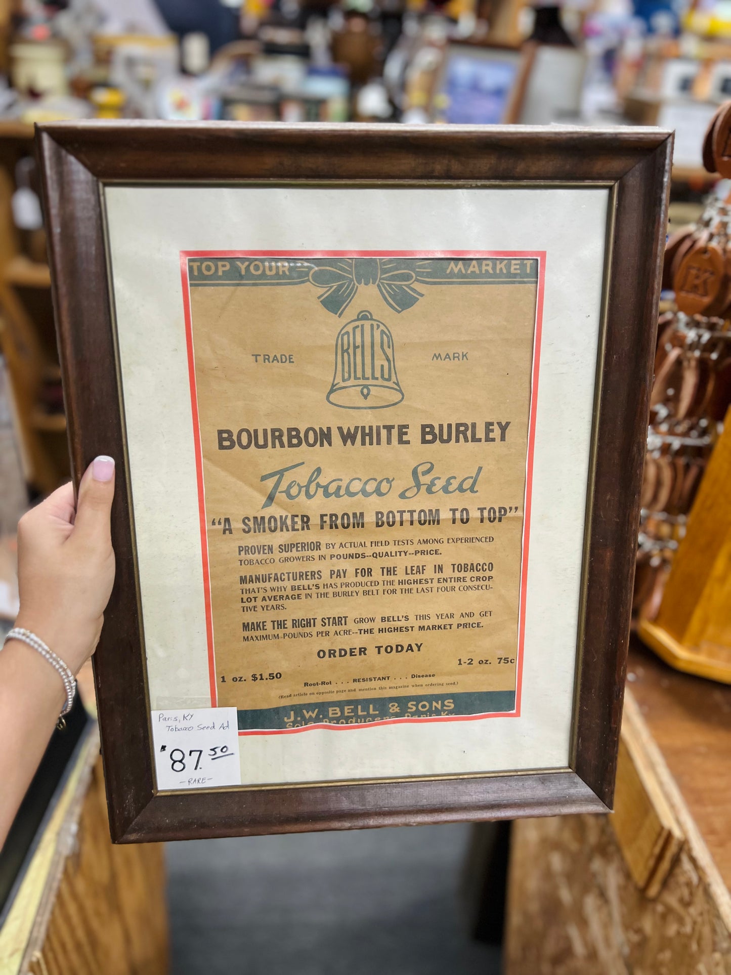 Tobacco Seed Ad J.W. Bell & Sons Paris, Kentucky