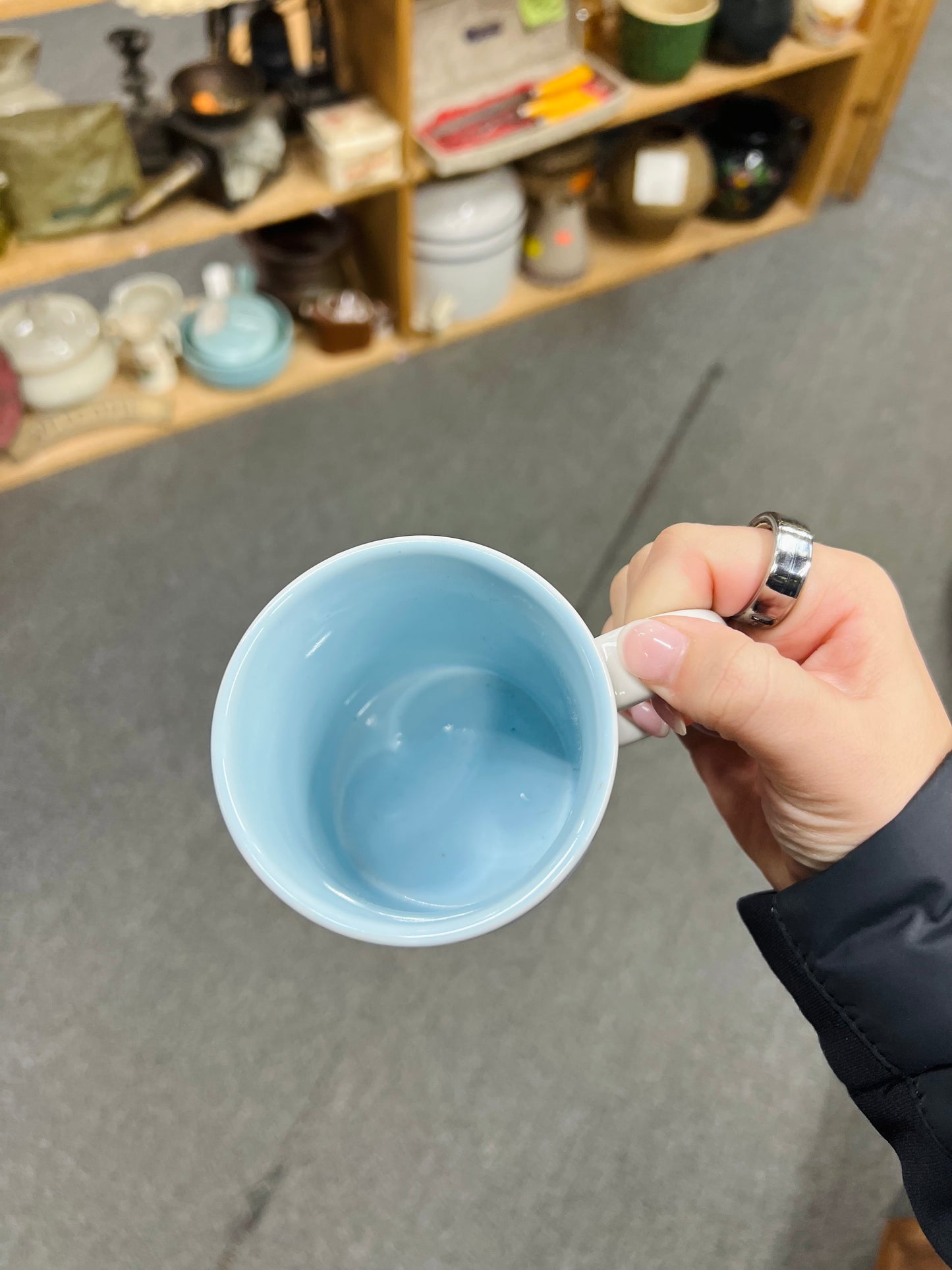 Vintage Kentucky Goose Mug