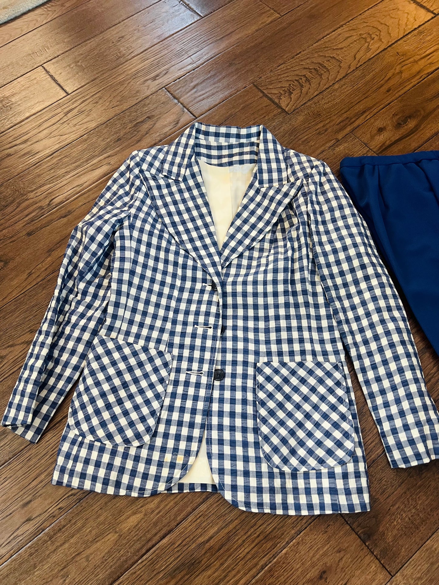 Vintage Alex Colman California Blue Gingham Blazer and Trousers Set