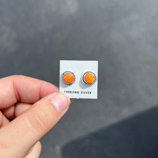Spiny Oyster Studs