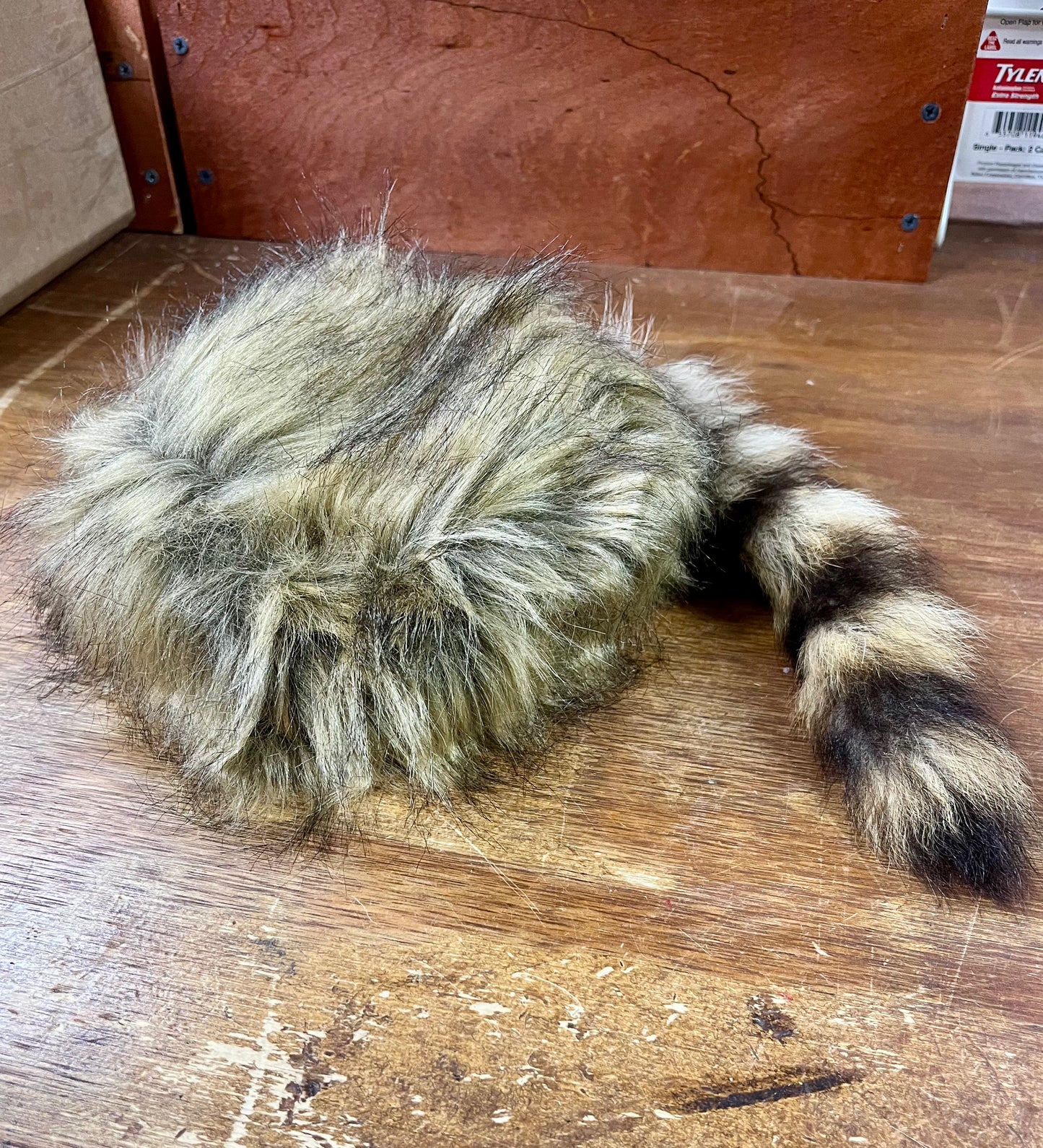 Coonskin Cap