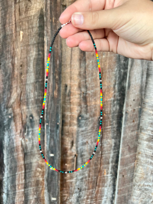The Kaycee Seed Bead Multi Color Necklace