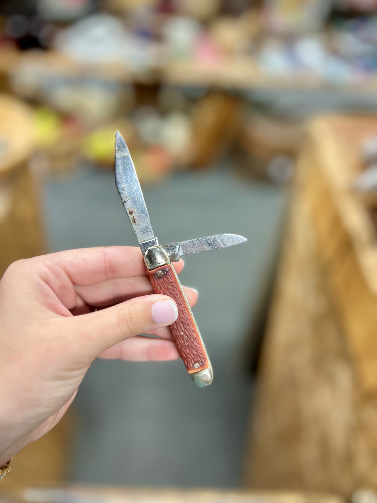 Prov Cut Co USA Pocket Knife