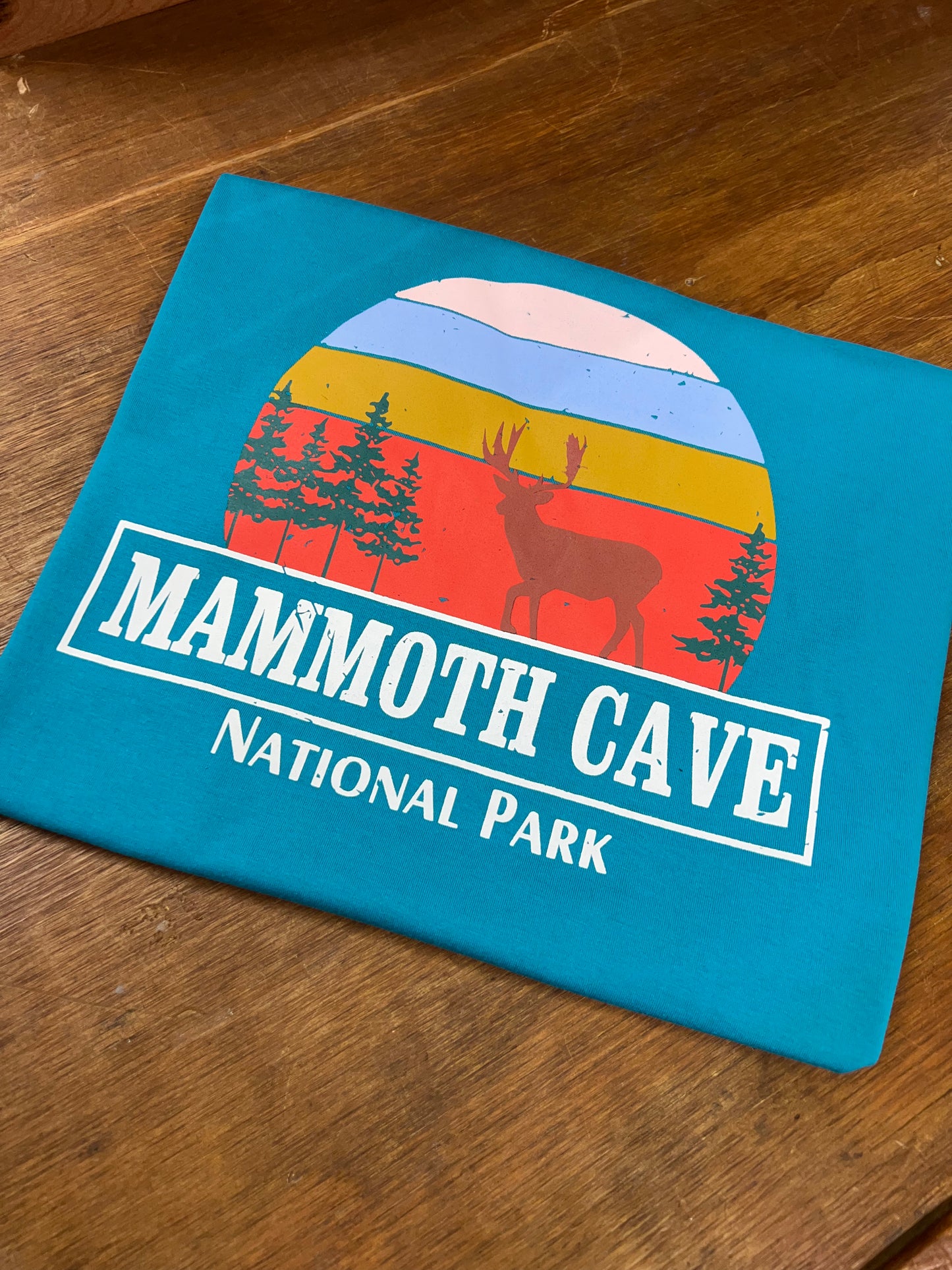 Mammoth Cave National Park Turquoise Deer Tee