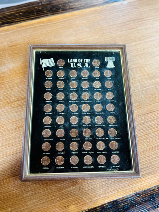 1976 Bicentennial Lincoln Pennies Framed - ALL 50 States!