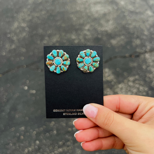 Genuine Green and Blue Kingman Turquoise 10 Stone Sterling Silver Cluster Earrings