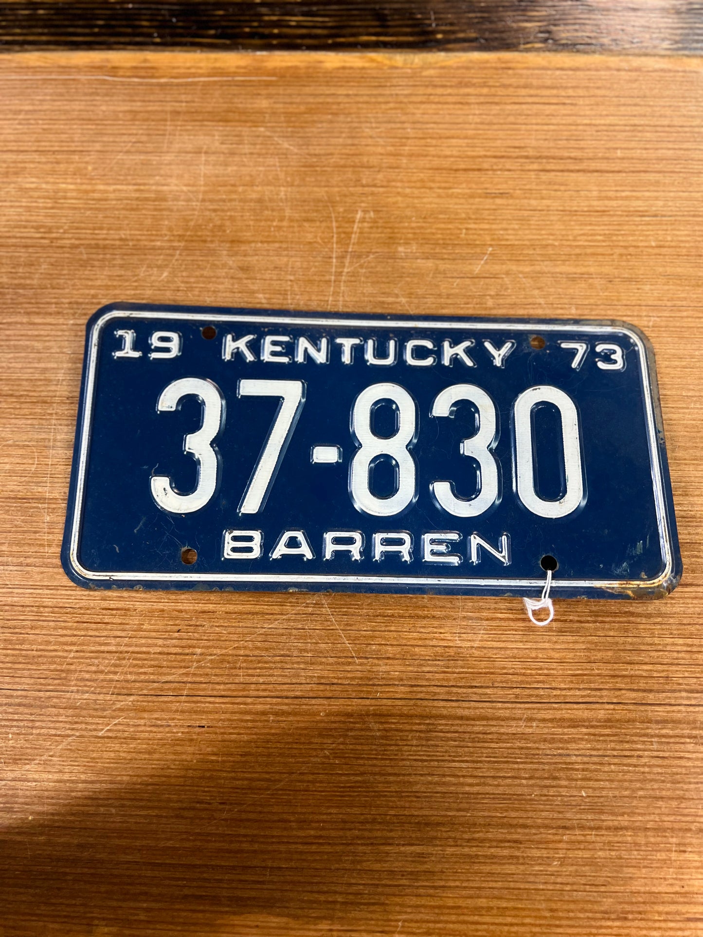 Vintage 1973 Barren County, Ky Metal License Plate
