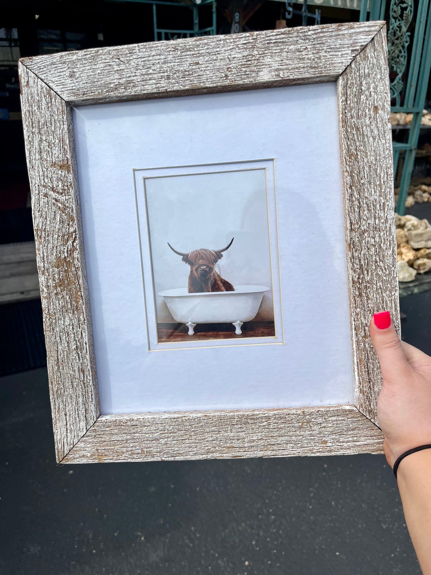 Highland Cow Bathtub Picture Frame