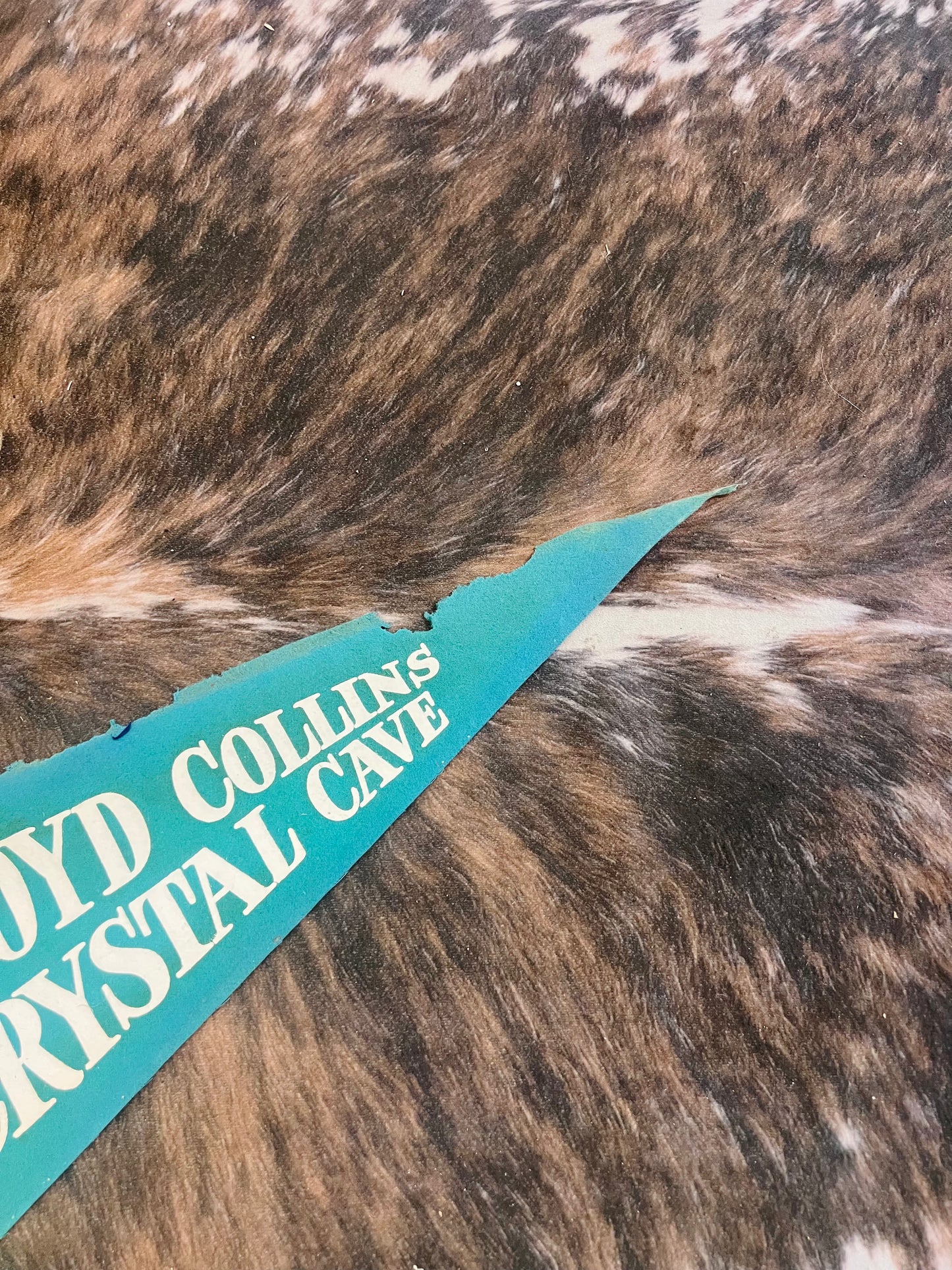 Old Felt Pennant RARE Floyd Collins Crystal Cave (Green)