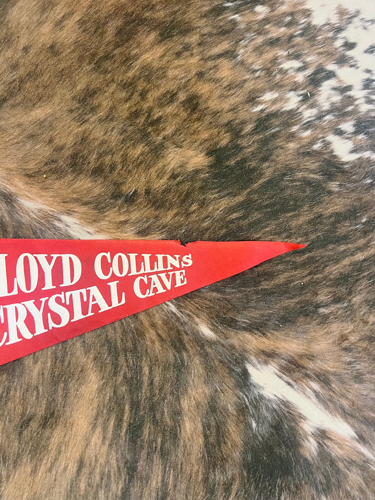 Old Felt Pennant RARE Floyd Collins Crystal Cave (Red)