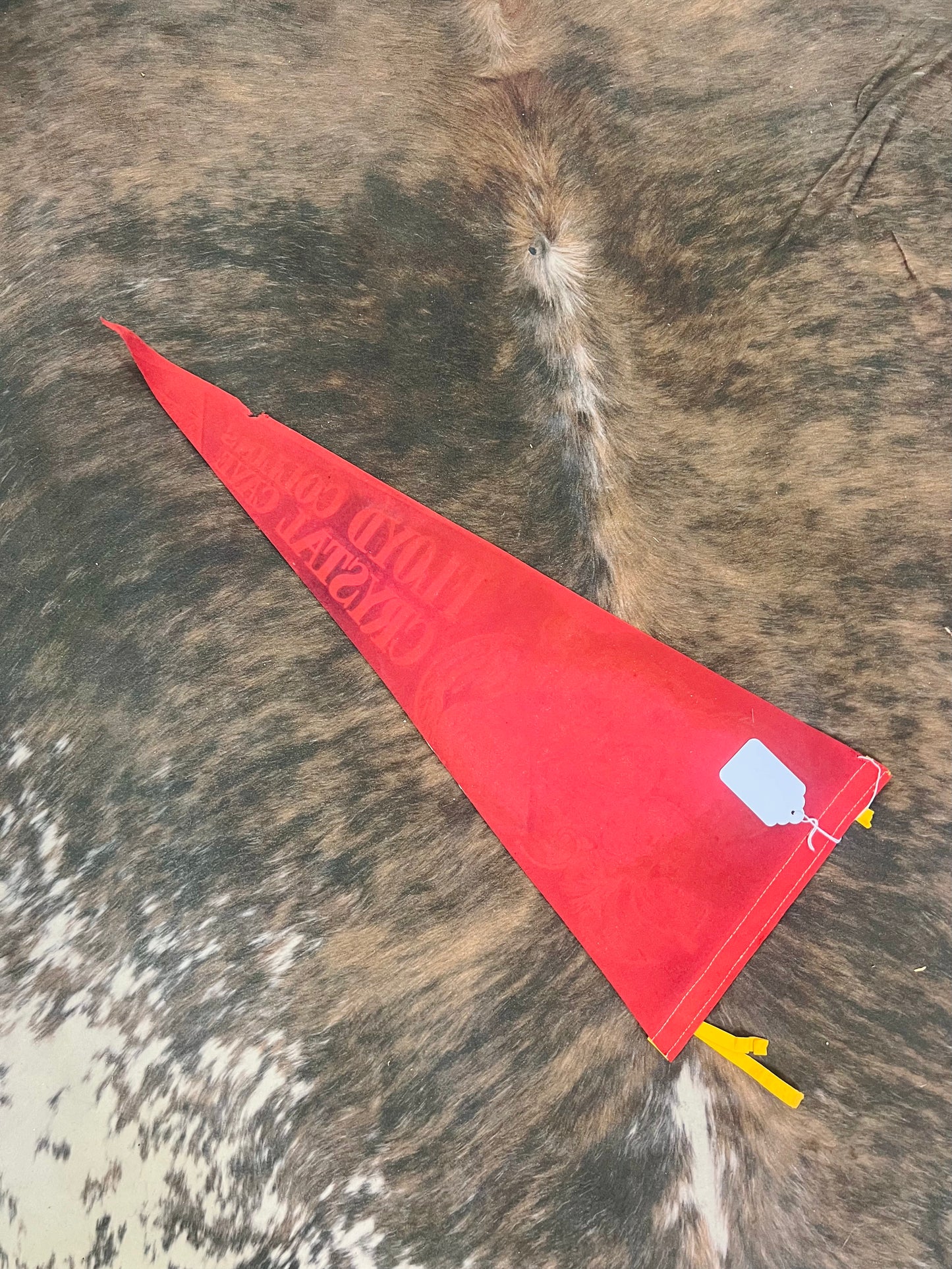 Old Felt Pennant RARE Floyd Collins Crystal Cave (Red)