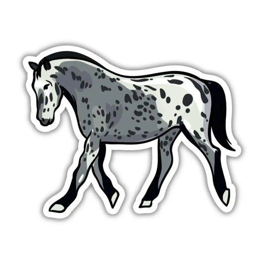 Appaloosa Horse Sticker